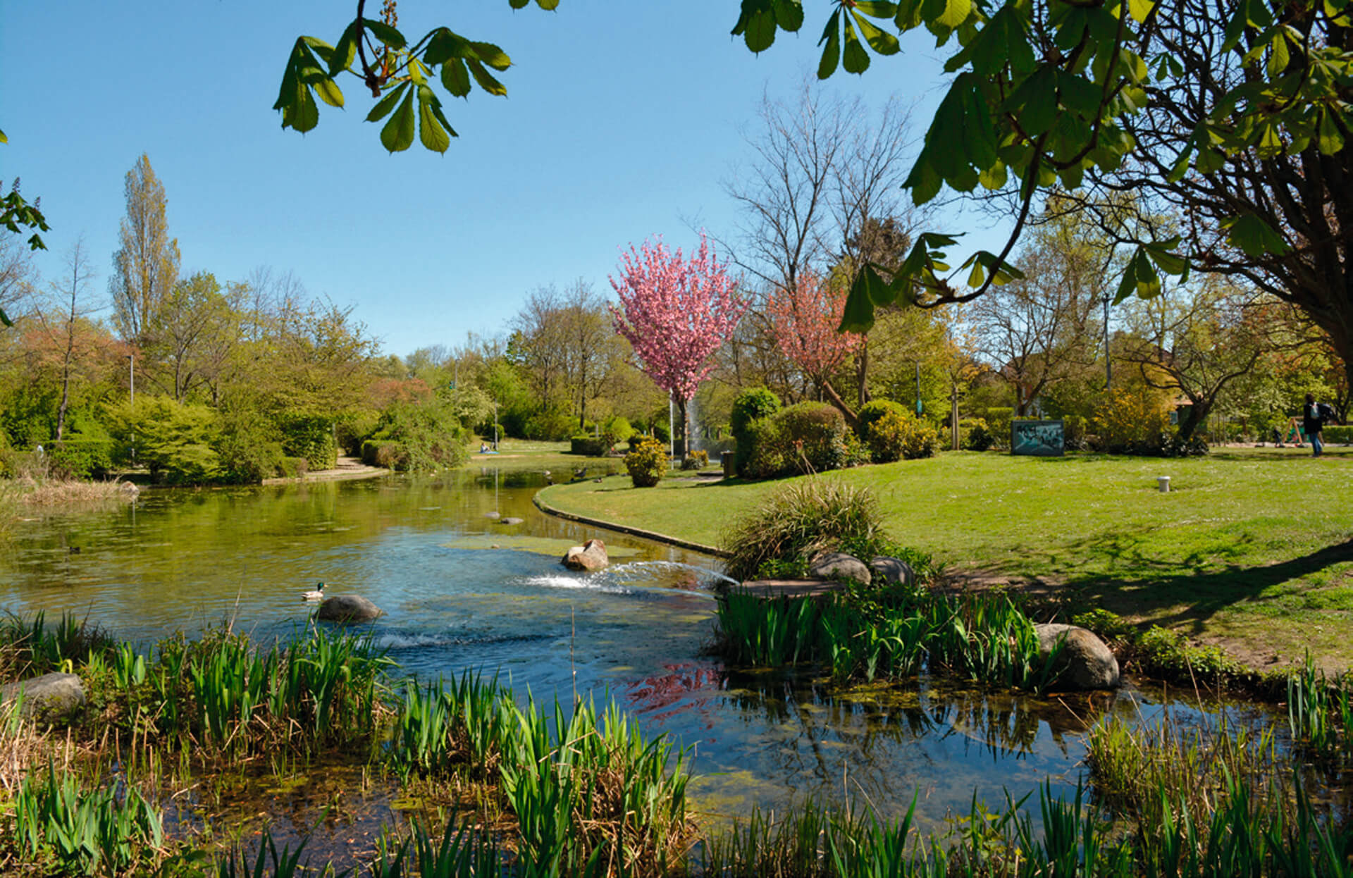 Hattersheim Hattersheim